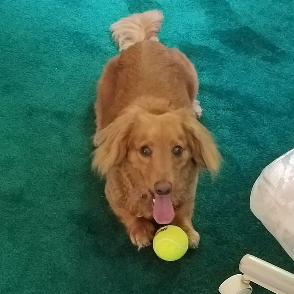 Meet your Posher, Kathie